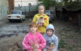 Скочигоров Егор, 7 лет. С новорожденными котятами